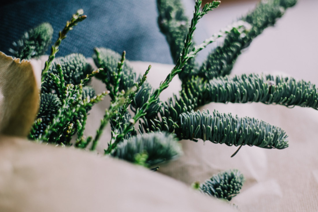 illustration layouts